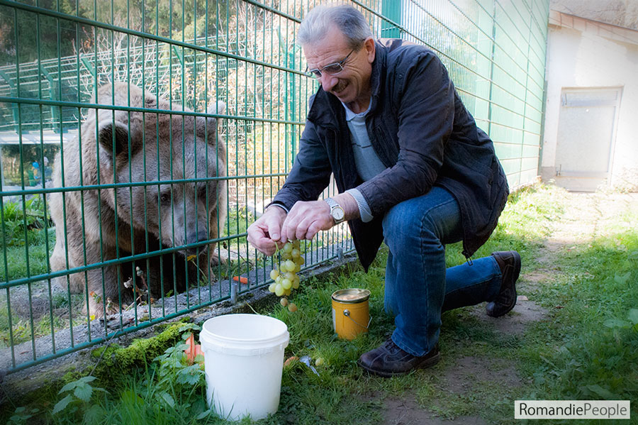 Zoo Servion Roland Buillard Ours